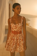 Red Vineyard Mini Dress